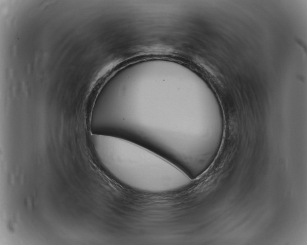 X0000098111315200804040752