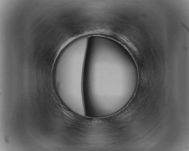 X0000098111316200804040752