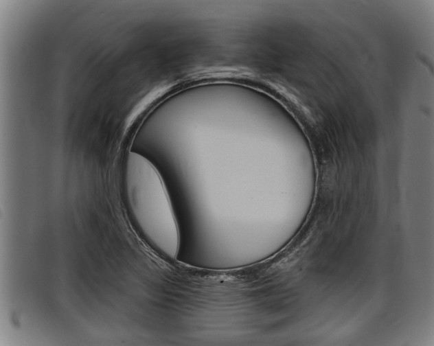 X0000098111317200804040752