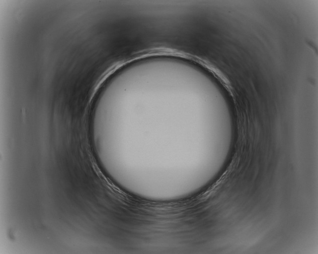 X0000098111318200804040752