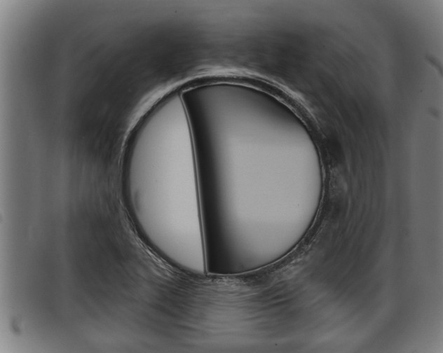 X0000098111319200804040752