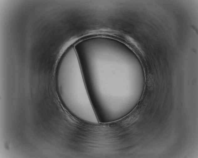 X0000098111320200804040752