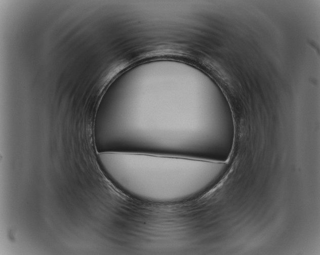X0000098111321200804040752