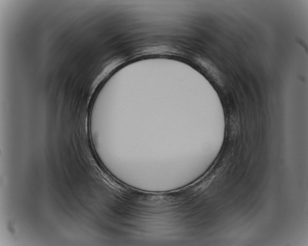 X0000098111322200804040752