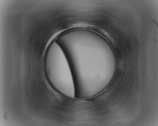 X0000098111323200804040752