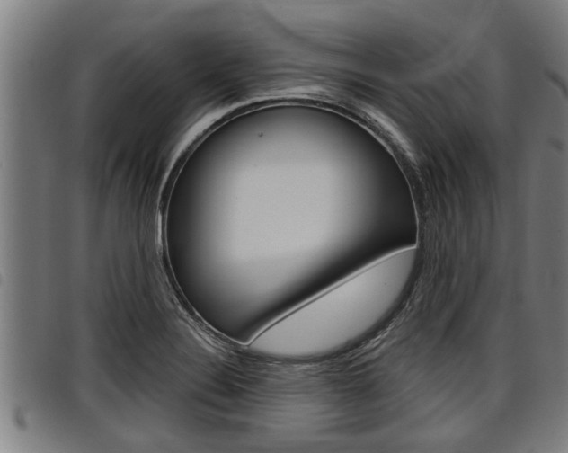 X0000098111324200804040752