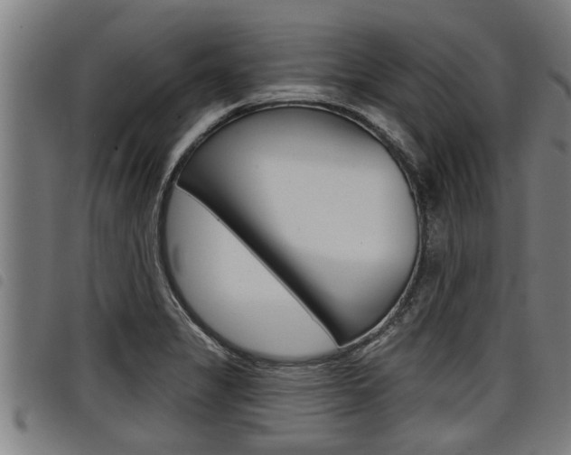 X0000098111325200804040752