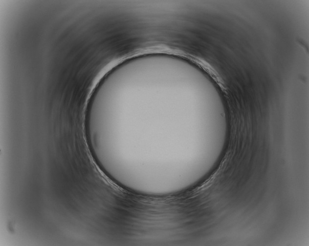 X0000098111326200804040752