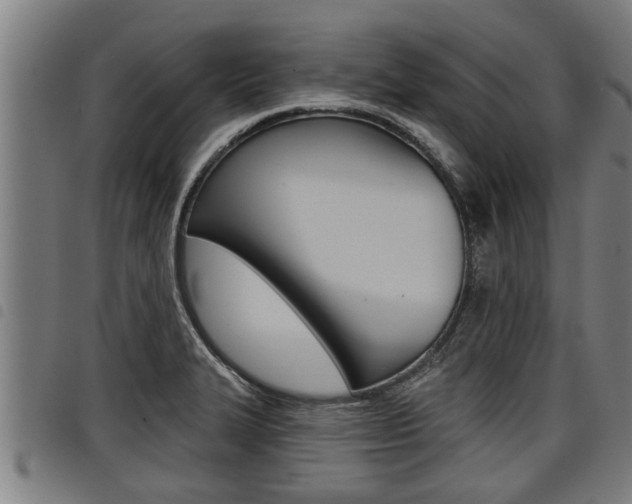 X0000098111327200804040752