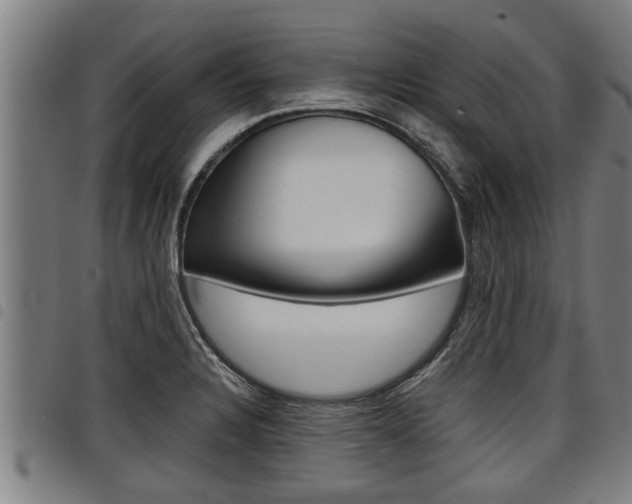 X0000098111328200804040752
