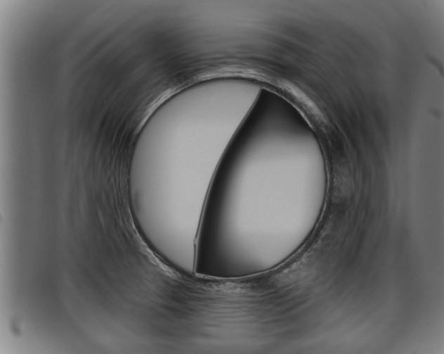 X0000098111329200804040752