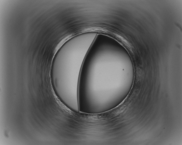 X0000098111330200804040752