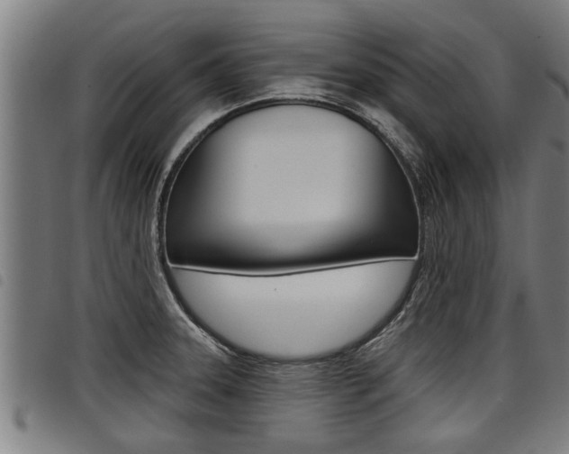 X0000098111331200804040752