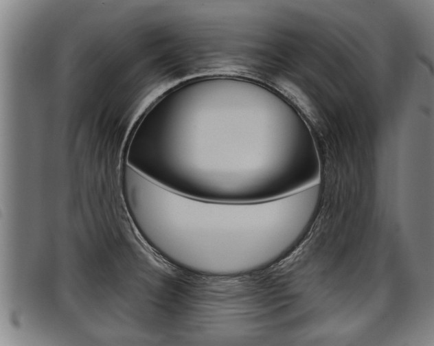 X0000098111332200804040752