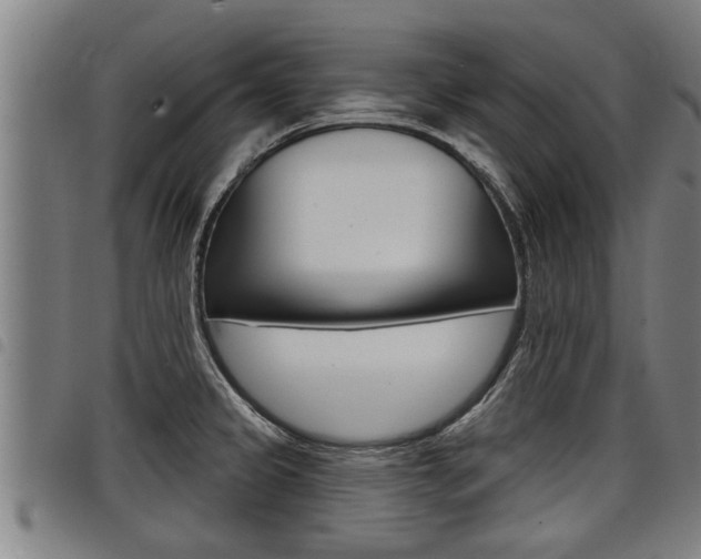 X0000098111333200804040752