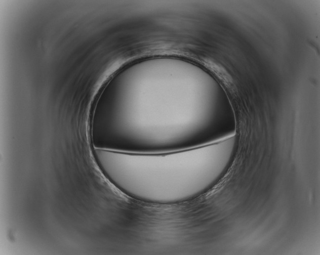 X0000098111334200804040752