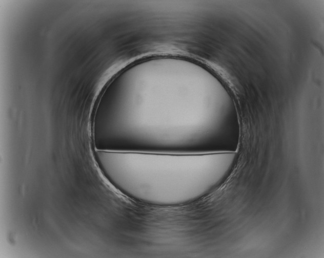 X0000098111335200804040752