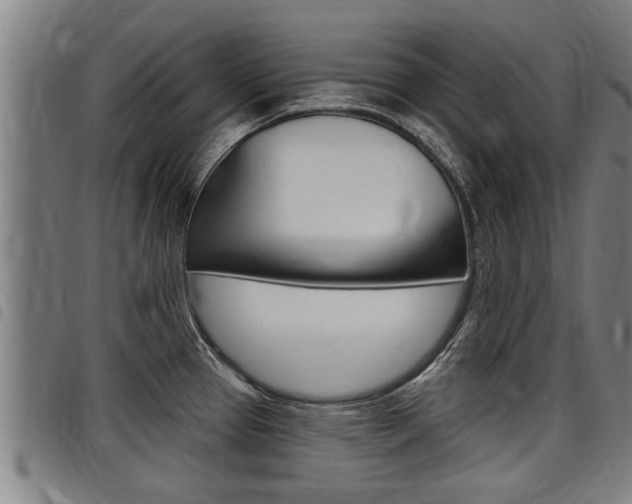 X0000098111337200804040752