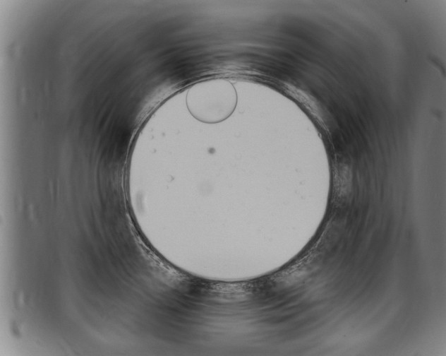 X0000098111338200804040752
