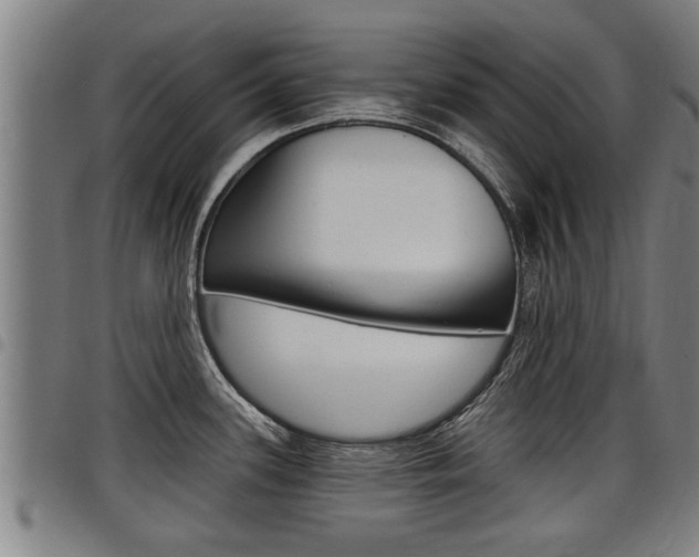 X0000098111339200804040752