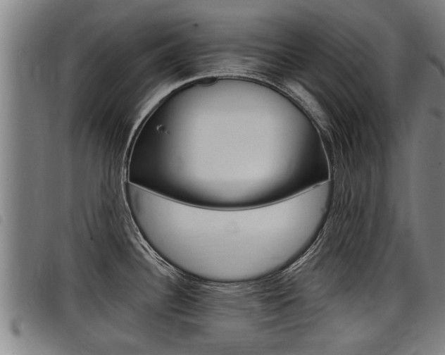 X0000098111340200804040753