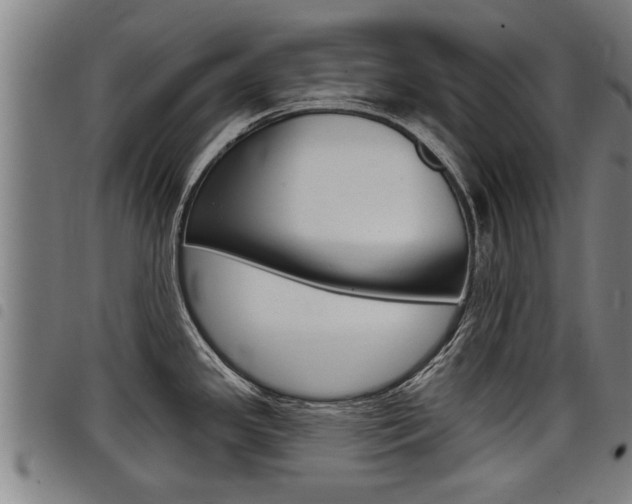 X0000098111341200804040753
