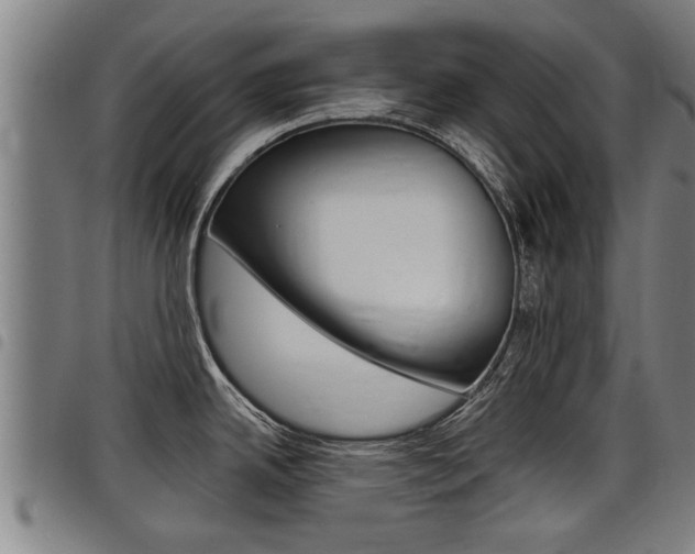 X0000098111342200804040753