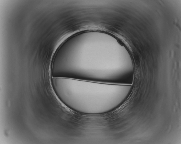 X0000098111343200804040753