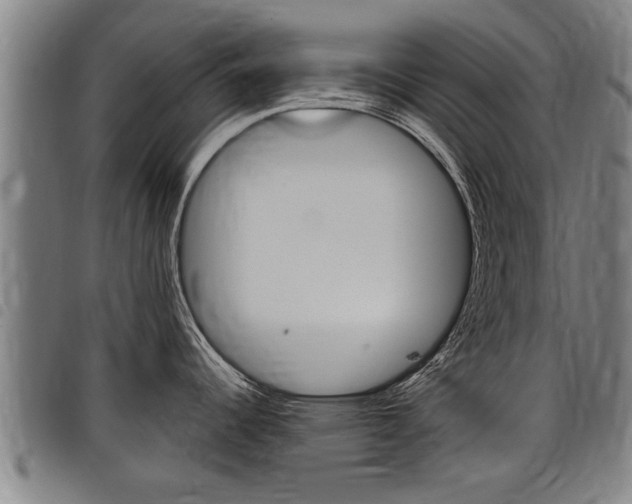 X0000098111344200804040753