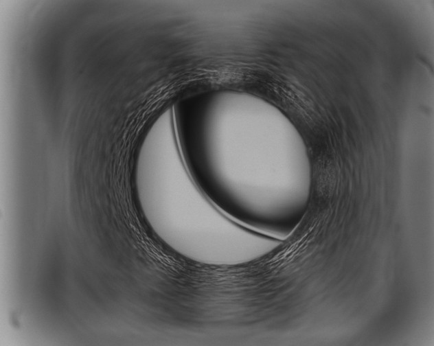 X0000098111345200804040752