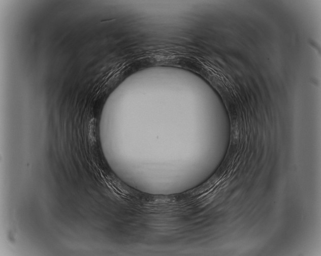 X0000098111346200804040752
