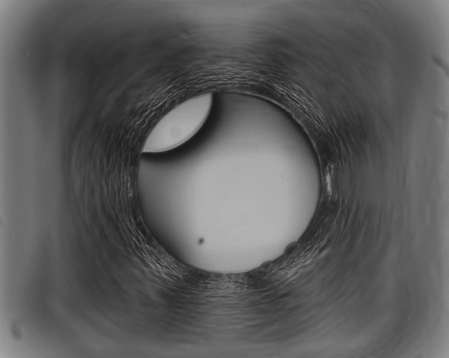 X0000098111347200804040752
