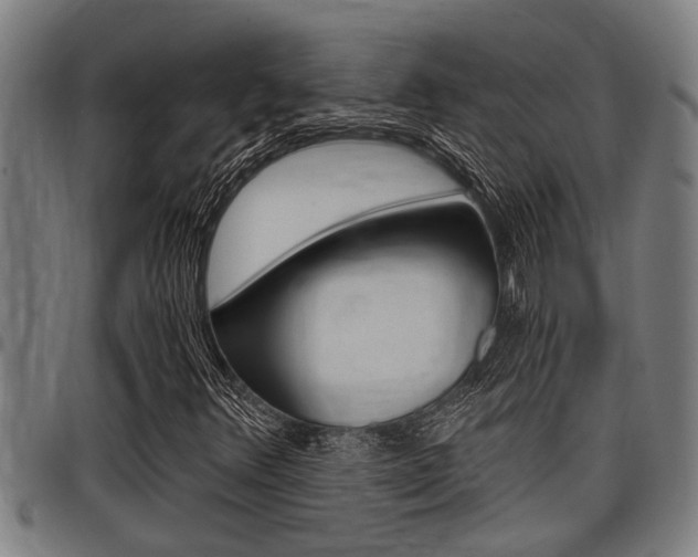 X0000098111348200804040752
