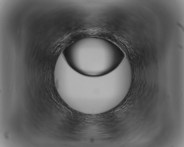 X0000098111349200804040752