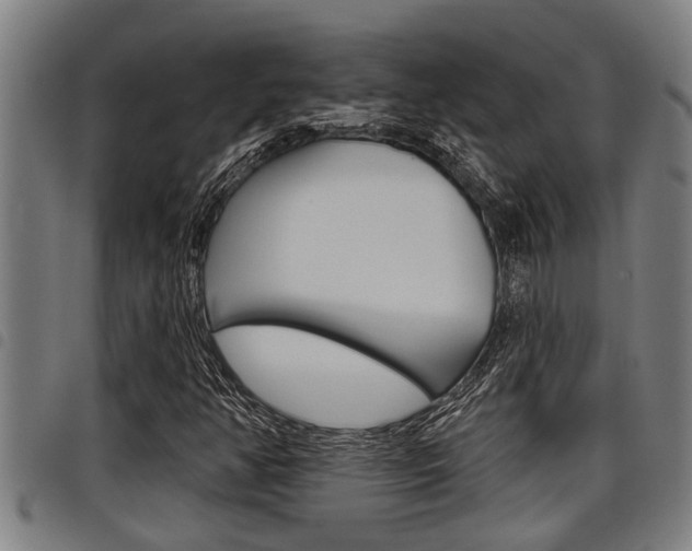 X0000098111350200804040752