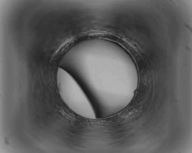 X0000098111351200804040752