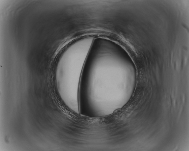 X0000098111352200804040752