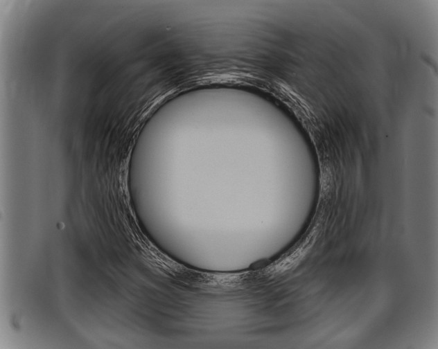 X0000098111353200804040752