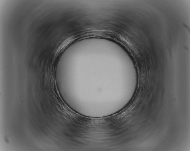 X0000098111354200804040752