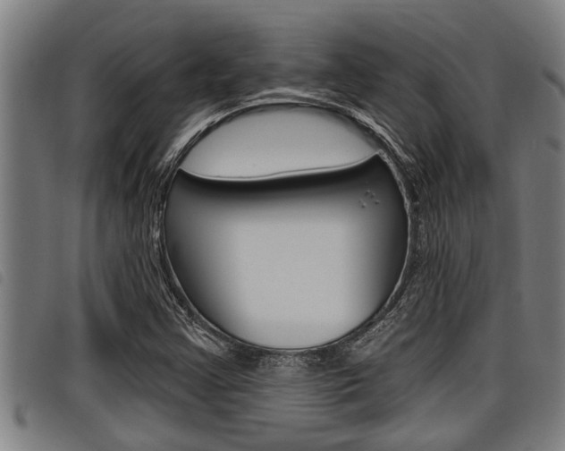 X0000098111355200804040752
