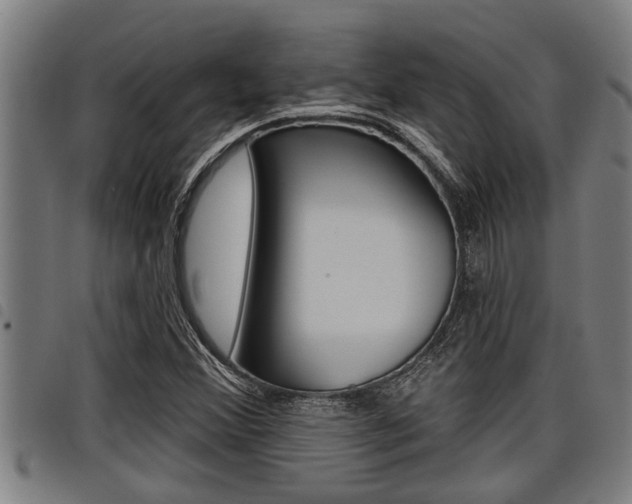 X0000098111356200804040752