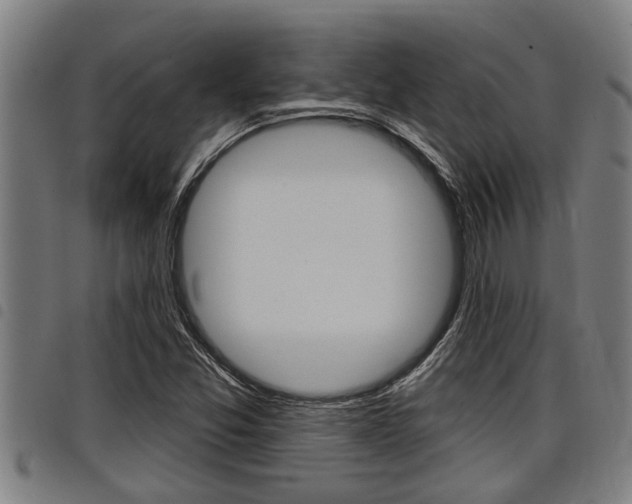 X0000098111357200804040752