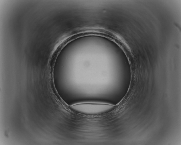 X0000098111360200804040752