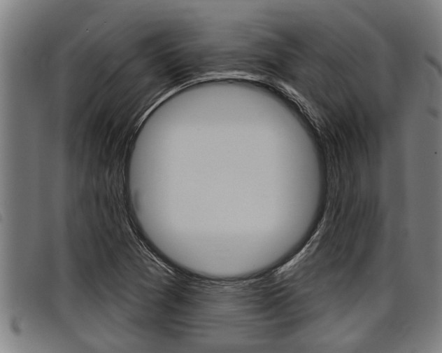 X0000098111361200804040752