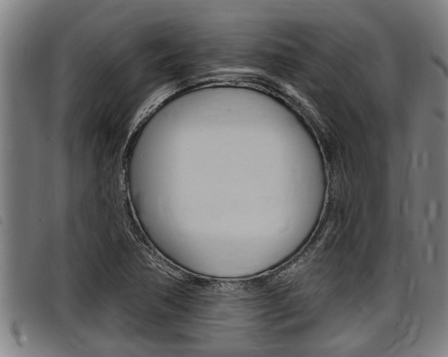 X0000098111362200804040752