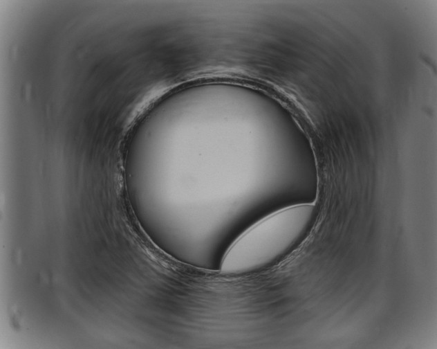 X0000098111363200804040752
