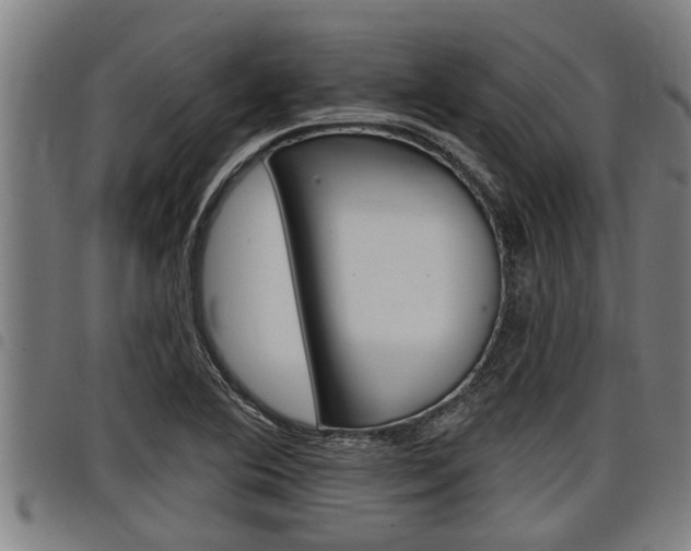 X0000098111364200804040752