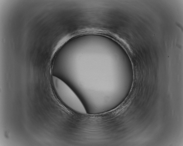 X0000098111365200804040752