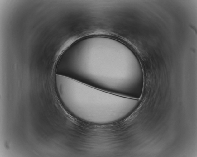X0000098111367200804040752