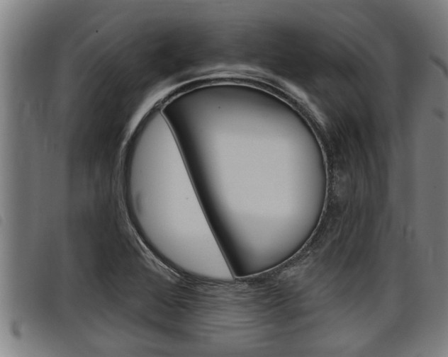 X0000098111368200804040752
